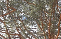 � ��������� ������� ������� ������� ����� ��������� ������� ����� � �������� 