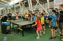 16-������� ����� ����������� ������ �� ����������� ������� ������� ����-������� (������������, �����) 