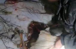 В нацпарке в Бурятии поймали браконьеров, убивших косуль 