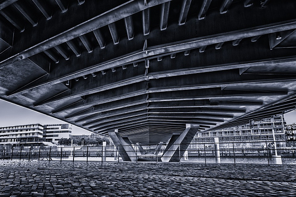 ������ ����������� ������ ������� �������� ��������� ������ ���� ����� �������