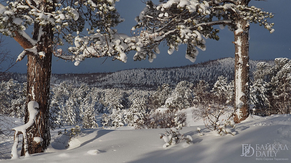 � ����-��� � ���� ������ 328 �����