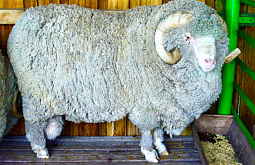 ����������� �� ������� ������ � ���������� 23 �������� ����� 