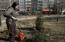 ��� ����-��� ���������, ��� �������� �����