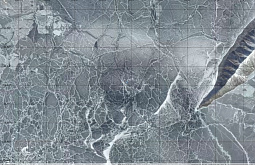 �� ������� ����� ��������� �������� ���������� ������ (����) 