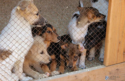 ������ �������� ����� � ����-��� �������� ����� ����� ���������