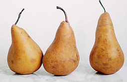 � �������� �������� � ������� ��������� ���������� 