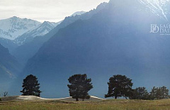 � ������� ��������� ����� ������ 