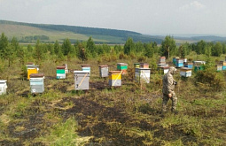 � ��������� ������� ���������� ���� �� ���� ���, ������ � ������ 