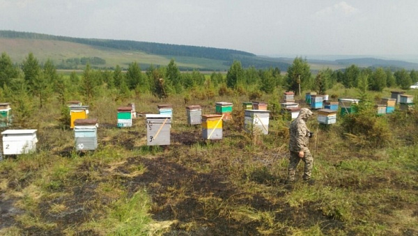 � ��������� ������� ���������� ���� �� ���� ���, ������ � ������ 