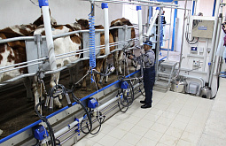 � ������� �������� �������� ����� �� 200 ����� 