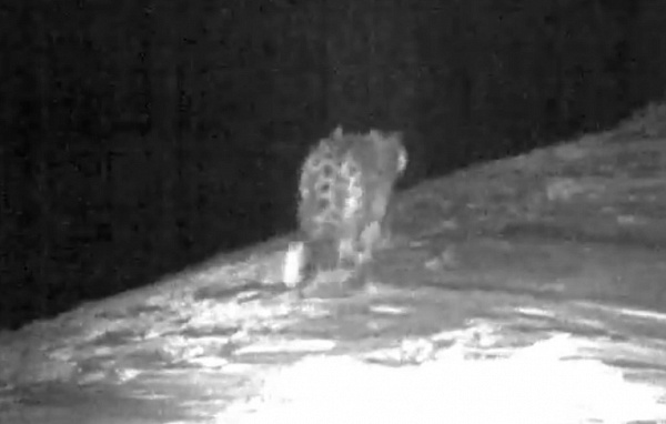 � ������� ������� ������� �� ������ �������� ����� 