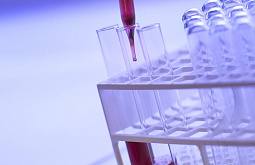 ��� ������ � ���������� � ����-��� �������������� ������������ ������������