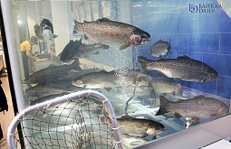 � ������� ��������� ���� � ��������� ��������� 