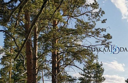 ������ ������� �������� 1,1 ��� ������ �� ��������� ������