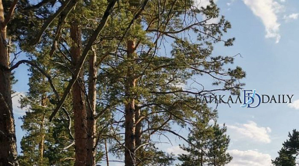 ������ ������� �������� 1,1 ��� ������ �� ��������� ������