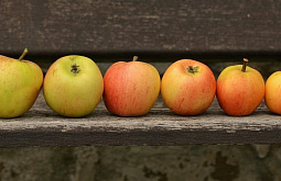 �� ������ ����� ������� � �������� ��������� ������ ���� ����