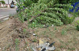 В Улан-Удэ неизвестный водитель уничтожил дерево