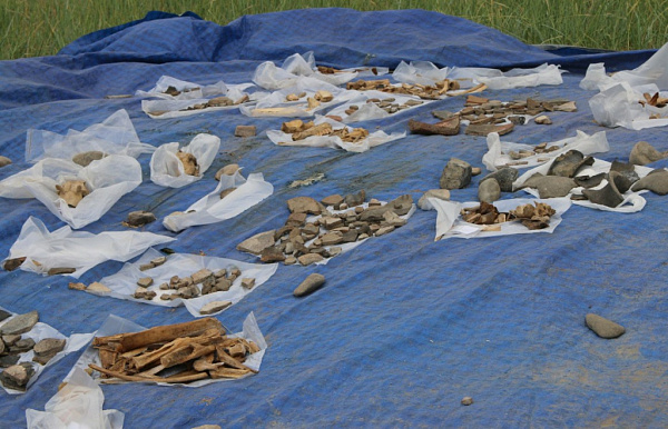 В Бурятии археологи вместо жилищ хунну раскопали древнюю свалку (фото) 