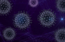 � ������� ������� 18 ����� ������� �������������