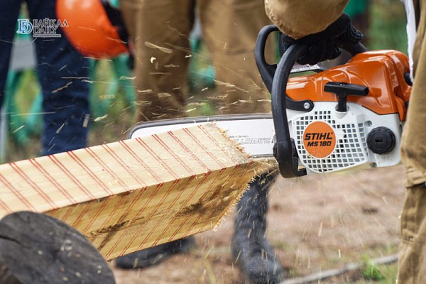 � ������� � ������� ������ ��������� �������� ��������������� �����