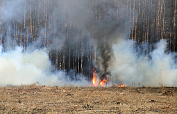 ����� ����� � ������� ������ ��� 20 ���