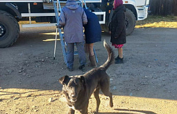 ����� � ������ ������ �� ��������������� � ������� 