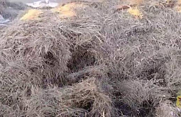 ���������� ������� 20 �� ��������� � ����� ���� 