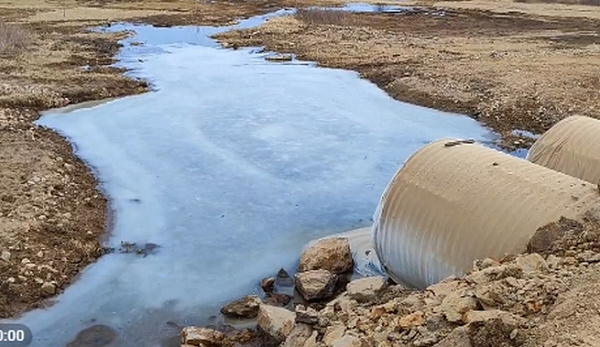 ����� ������� �������� ��� ������� ������ �� ������ ����������