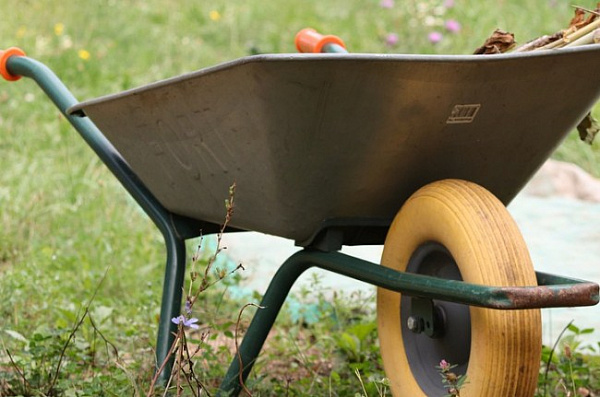 ����-������ ������ ������� ����� �� �������� ���� 