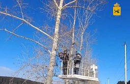 ����-������� ���������� � ������ ���������