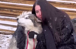 «Выживающая деревня»: Блогер из Петербурга спасает собак в Бурятии 