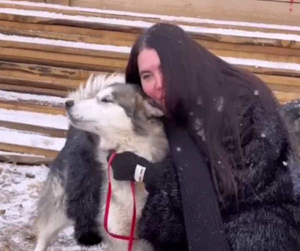 «Выживающая деревня»: Блогер из Петербурга спасает собак в Бурятии 