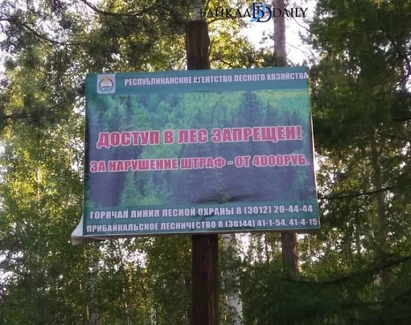 ������� ������� �������� ������ � ���