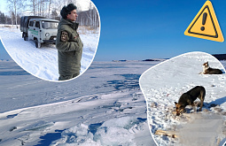 � �������� �� ������� ������ ��������� ������ � ������