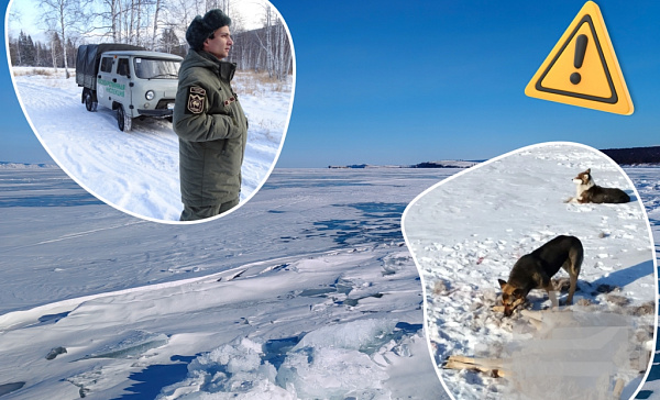 � �������� �� ������� ������ ��������� ������ � ������