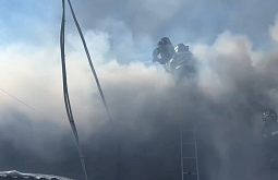 � �������� ������ ���������� ������ ����� ������������ �����