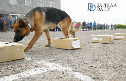 � ����-��� ������ ���������� ����� ��������� ����� ����� (������������)