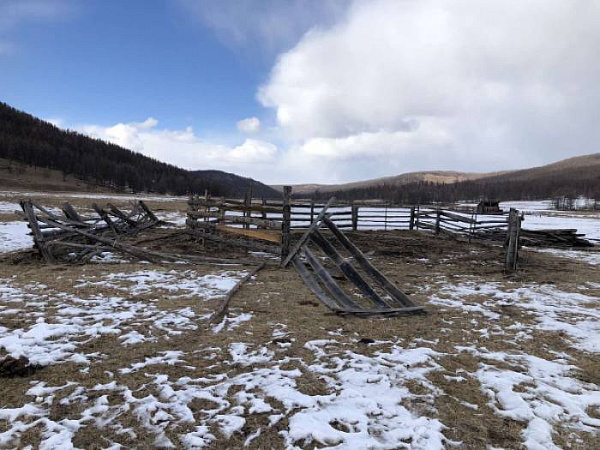 Житель Бурятии украл 30 центнеров сена