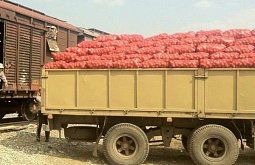 В Улан-Удэ бизнесмен «забыл» о двух вагонах с луком 