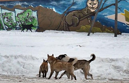 ����� �������� ������������ ���� �� ��������� �������� �������� � ����������