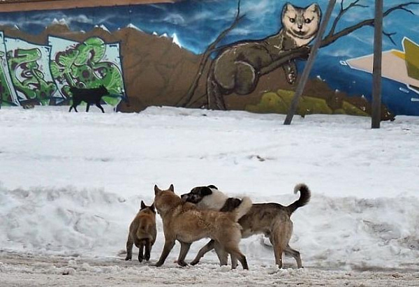 ����� �������� ������������ ���� �� ��������� �������� �������� � ����������