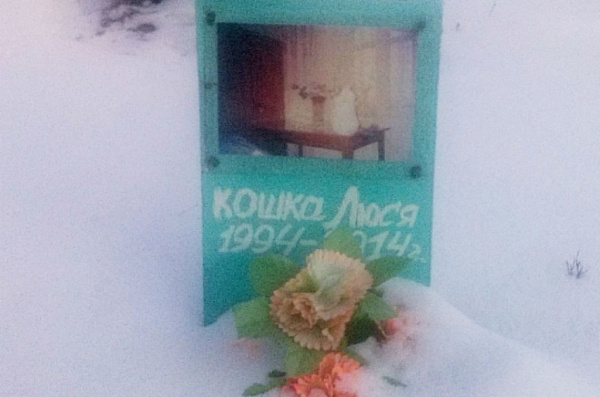 ����� ����� � ����� ������ ������� ���������