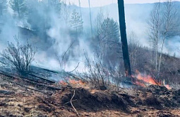 ������� ������ ������� � ������� ���������� �� 4,8 ����� ��