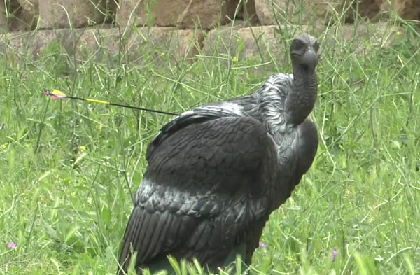 �������� ����� ������ ��������� ������ �� 3D �������� �� ����