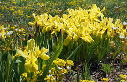 �� �������� ������������ ������