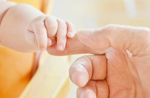 � ������� ����������� ������� ������� ������ �����