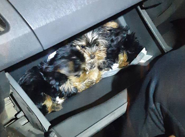 �� ������� � �������� ����� ����� � �������� � ��������� �������