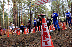 � ����-��� ������ ��������� �� ����������� �������������� (������������)