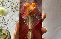 � ������� ���������� ������� �� ���������� �������