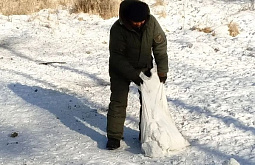 ������ � ������� ������������� �����